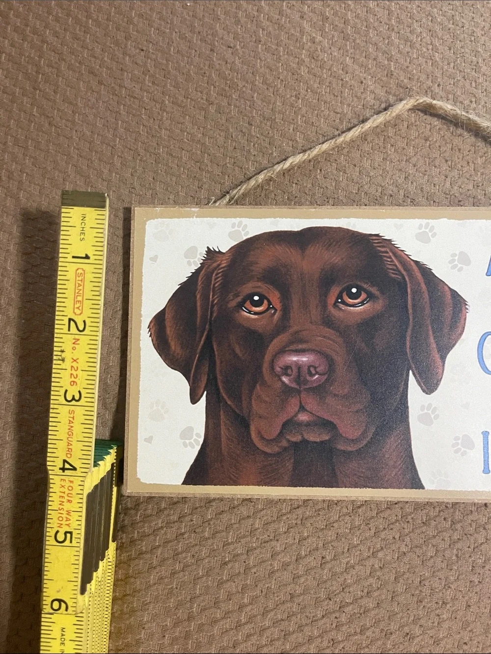 Spoiled Chocolate Lab Dog Wall Sign - Brown